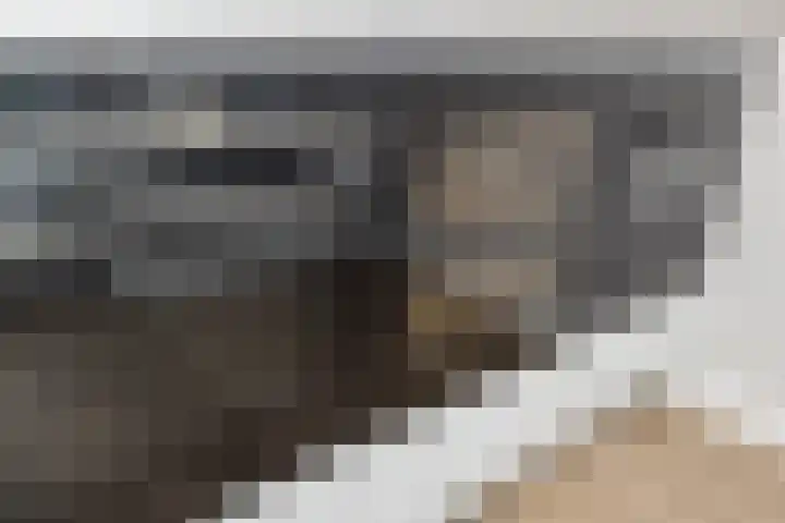 Meeroever 18 Hillegom thumbnail 12