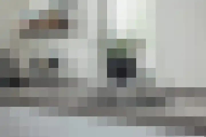 Meeroever 18 Hillegom thumbnail 13