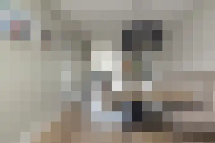 Meeroever 18 Hillegom thumbnail 15
