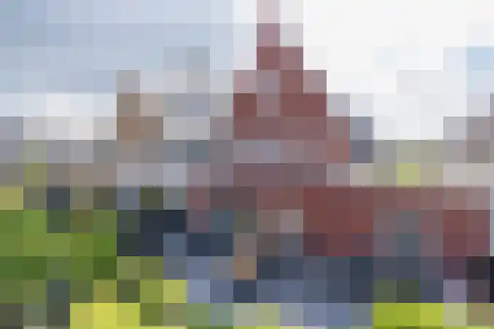 Meeroever 18 Hillegom foto 2