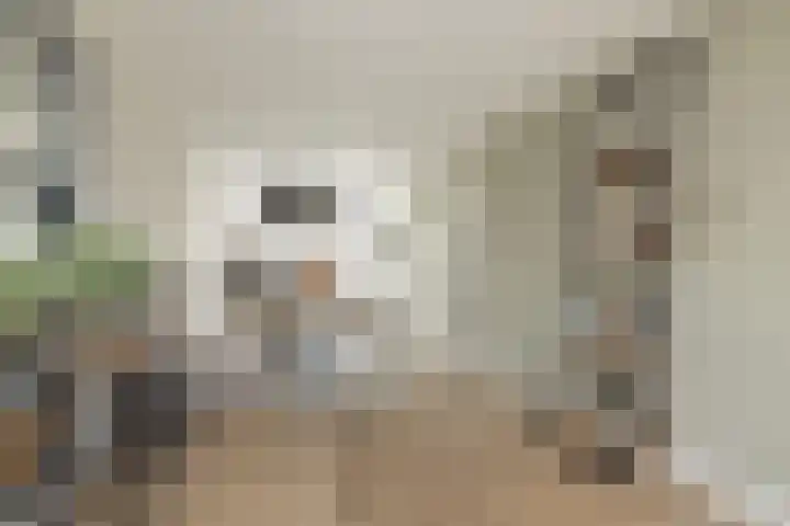 Meeroever 18 Hillegom thumbnail 22