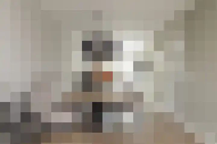 Meeroever 18 Hillegom thumbnail 23
