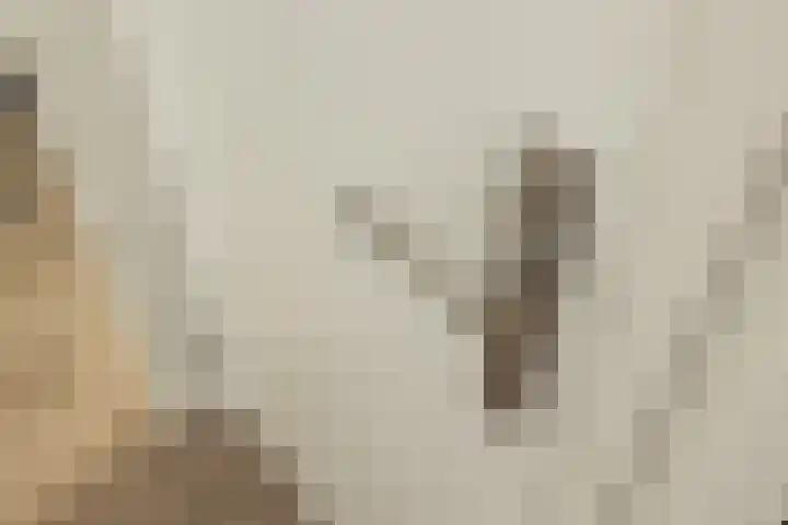 Meeroever 18 Hillegom thumbnail 28