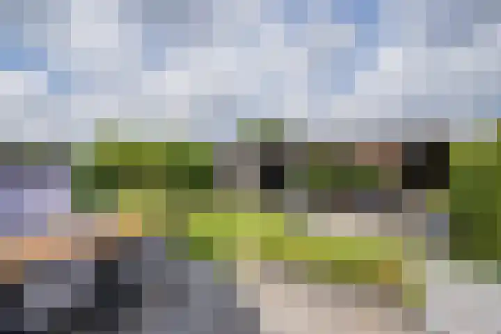 Meeroever 18 Hillegom thumbnail 30