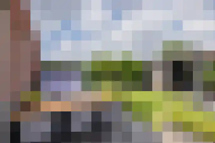 Meeroever 18 Hillegom thumbnail 31