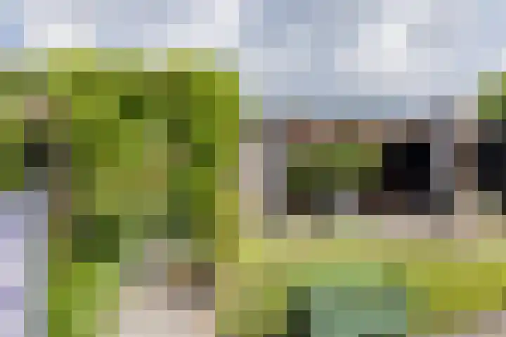 Meeroever 18 Hillegom thumbnail 32