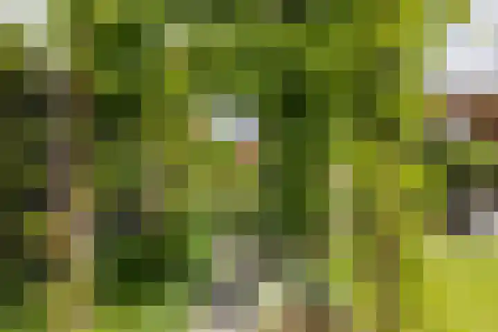 Meeroever 18 Hillegom thumbnail 33