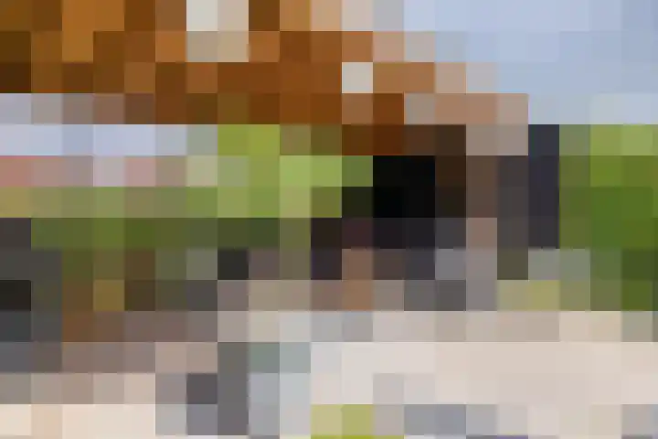 Meeroever 18 Hillegom thumbnail 35