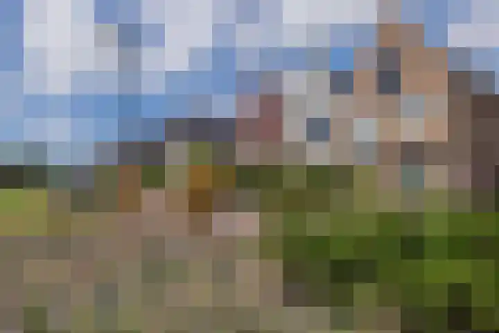Meeroever 18 Hillegom thumbnail 4