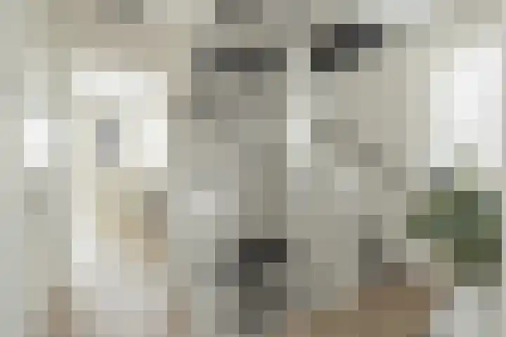 Meeroever 18 Hillegom thumbnail 44