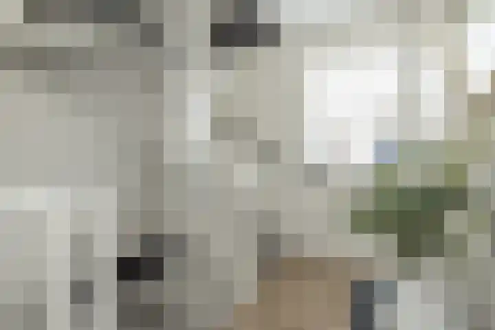Meeroever 18 Hillegom thumbnail 45