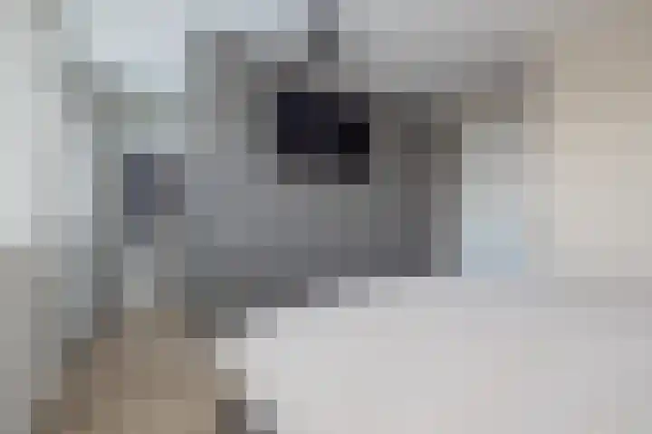 Meeroever 18 Hillegom thumbnail 52