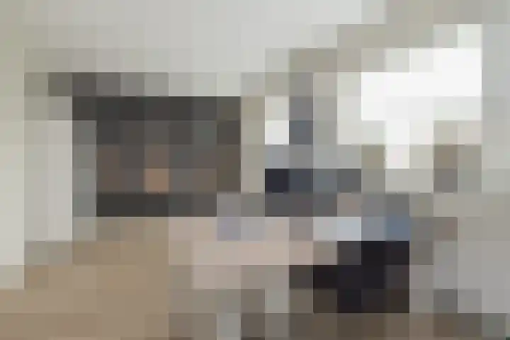 Meeroever 18 Hillegom thumbnail 62