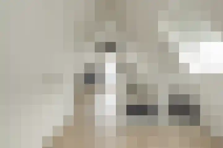 Meeroever 18 Hillegom thumbnail 63