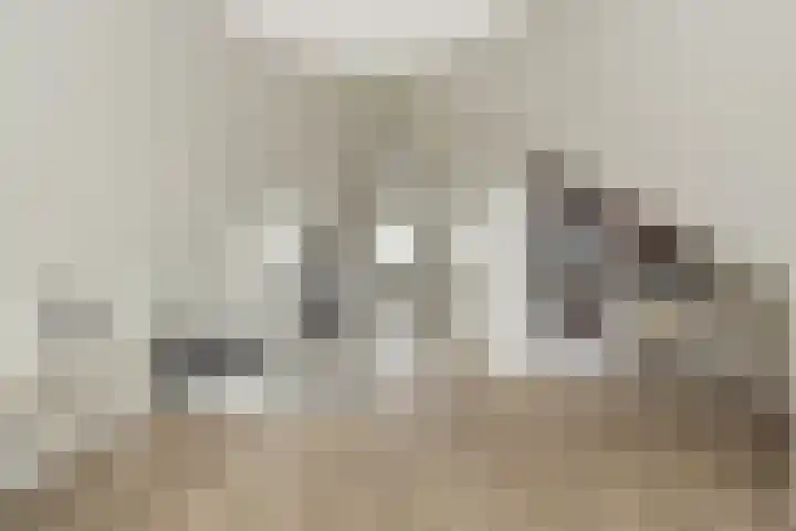 Meeroever 18 Hillegom thumbnail 66