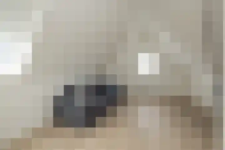 Meeroever 18 Hillegom thumbnail 67