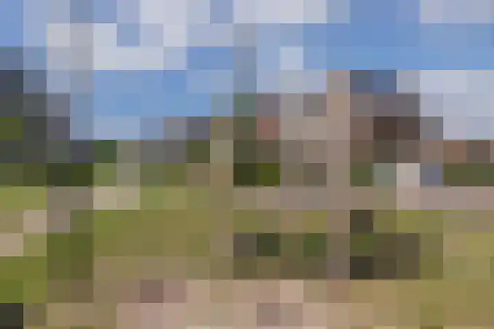Meeroever 18 Hillegom thumbnail 70