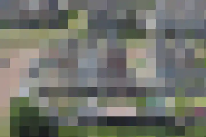 Meeroever 18 Hillegom thumbnail 82