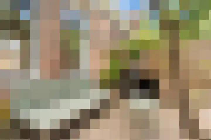 Meerpad 25 C Amsterdam thumbnail 32