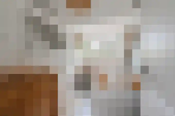 Meerpad 25 C Amsterdam thumbnail 36