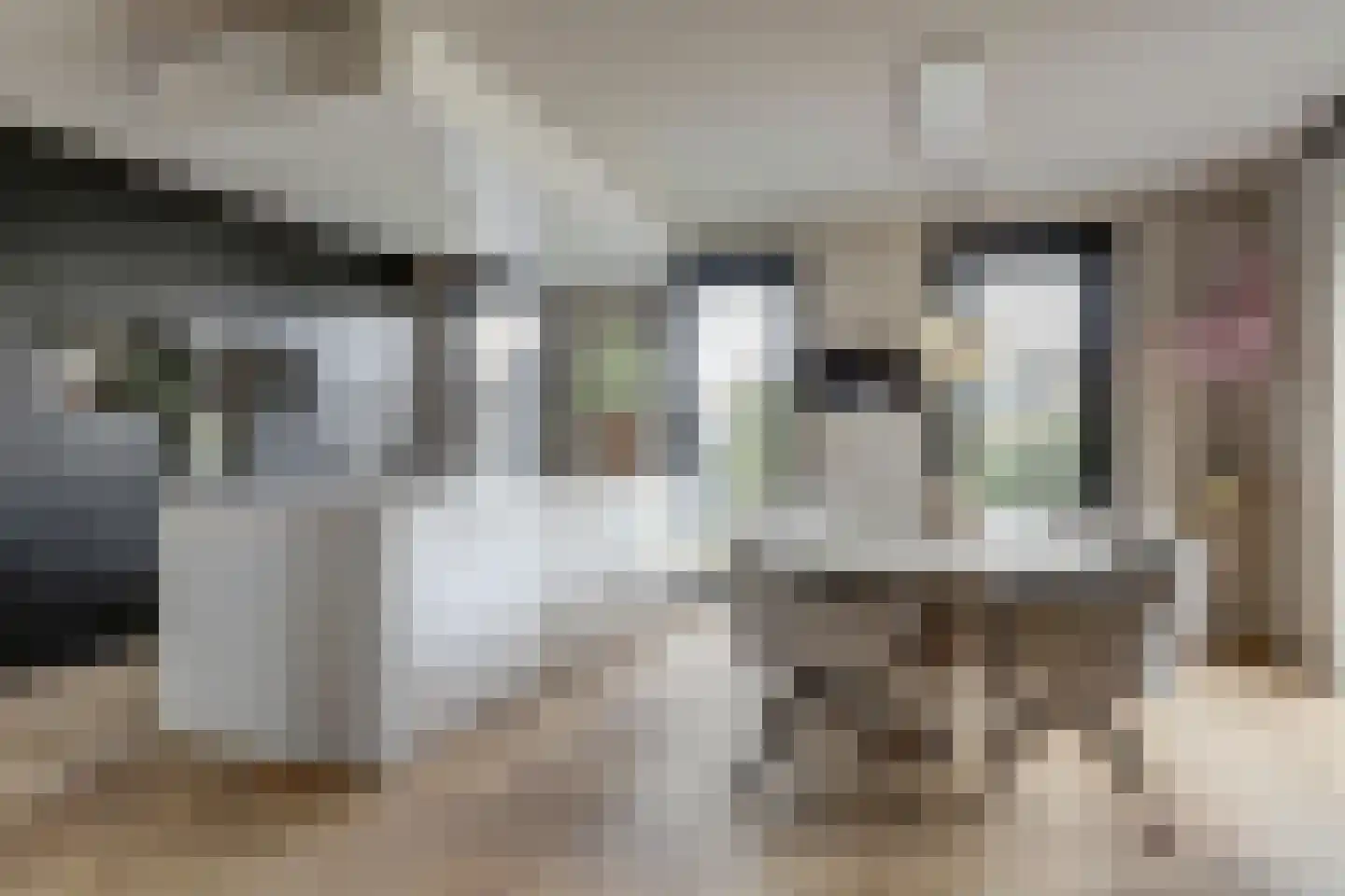 Meerpad 6 Uitgeest thumbnail 14