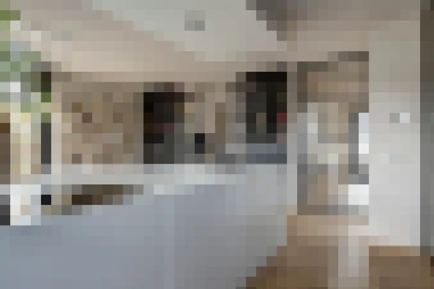 Meerpad 6 Uitgeest thumbnail 21
