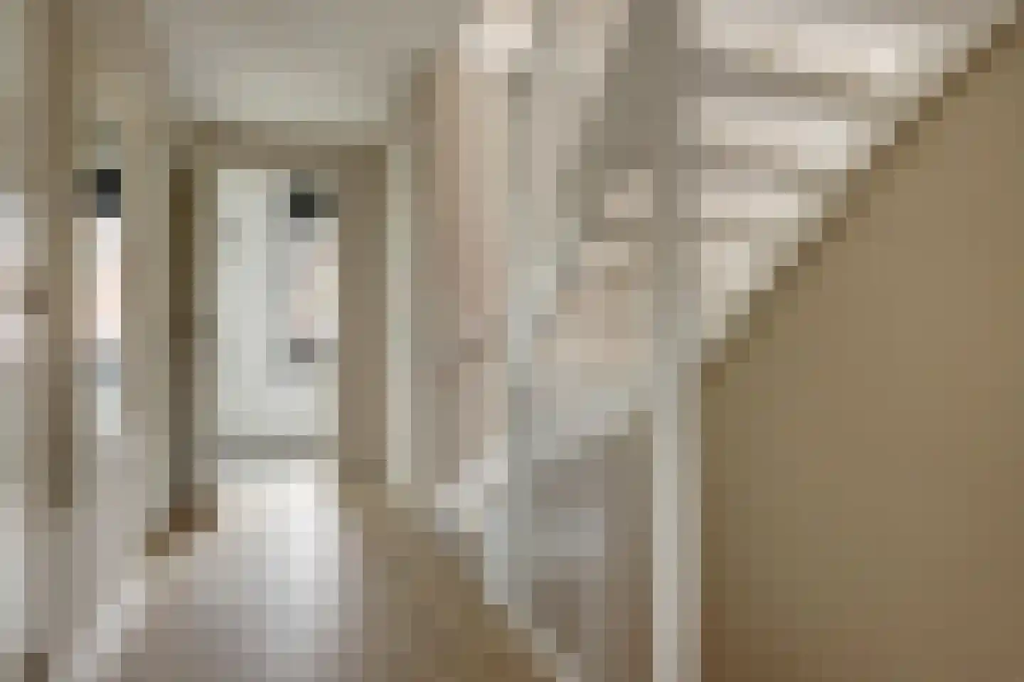 Meerpad 6 Uitgeest thumbnail 34