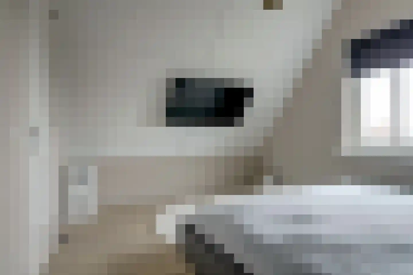 Meerpad 6 Uitgeest thumbnail 39