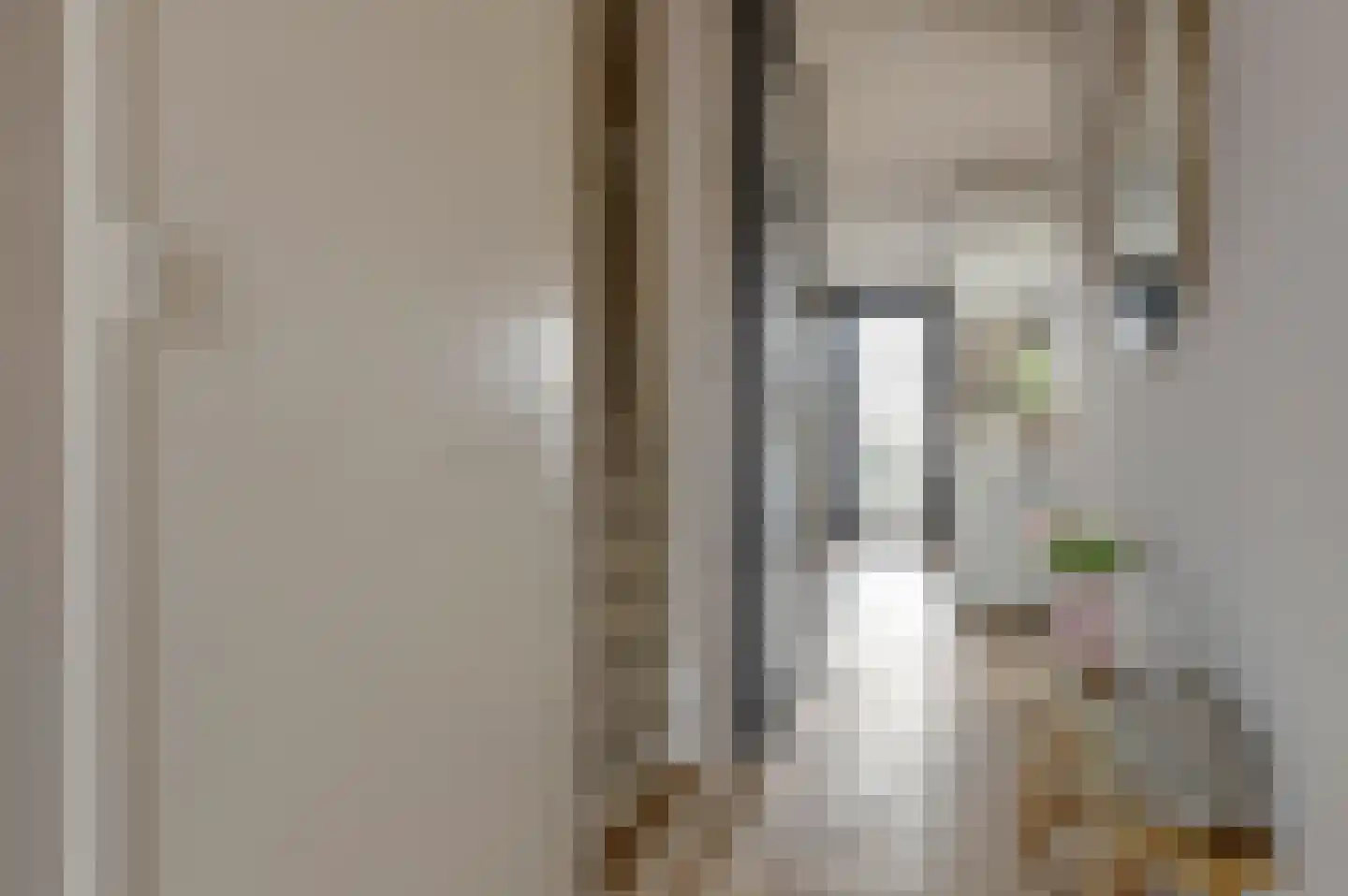 Meerpad 6 Uitgeest thumbnail 4