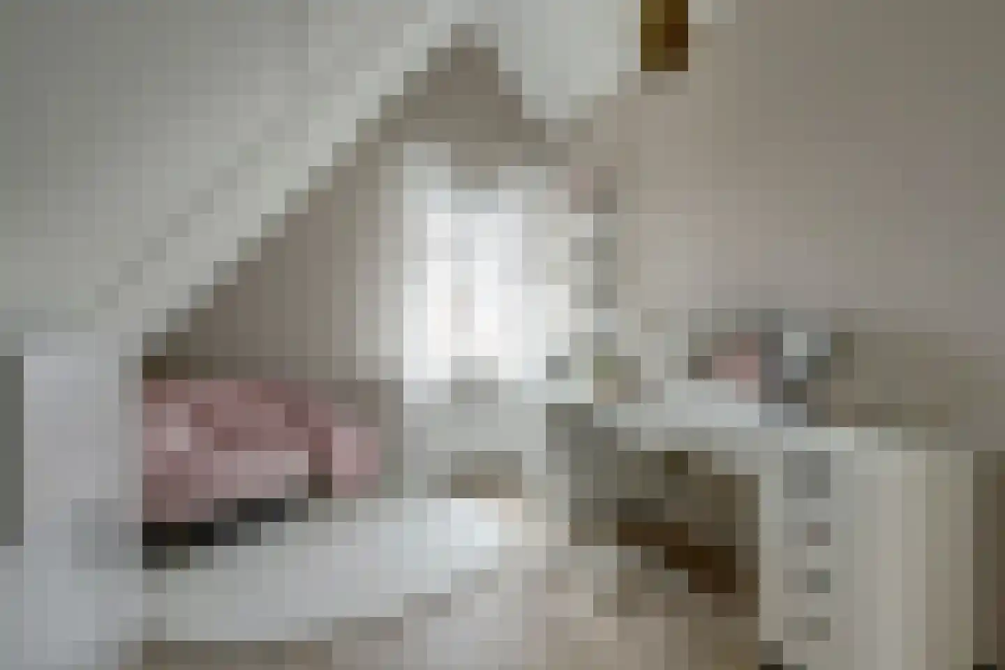 Meerpad 6 Uitgeest thumbnail 40