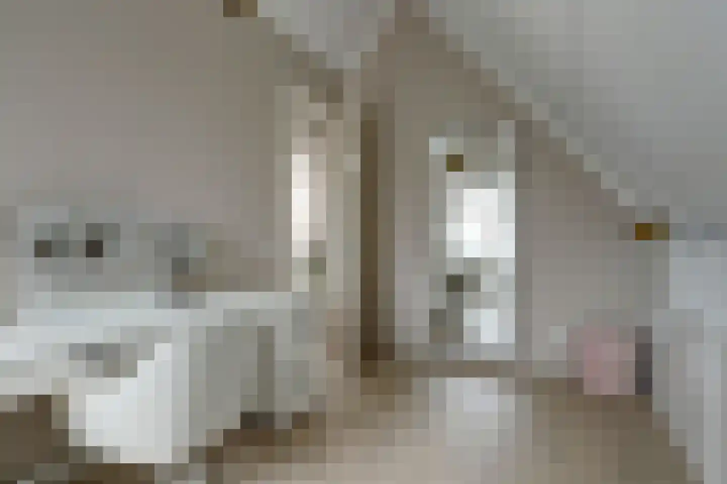 Meerpad 6 Uitgeest thumbnail 41