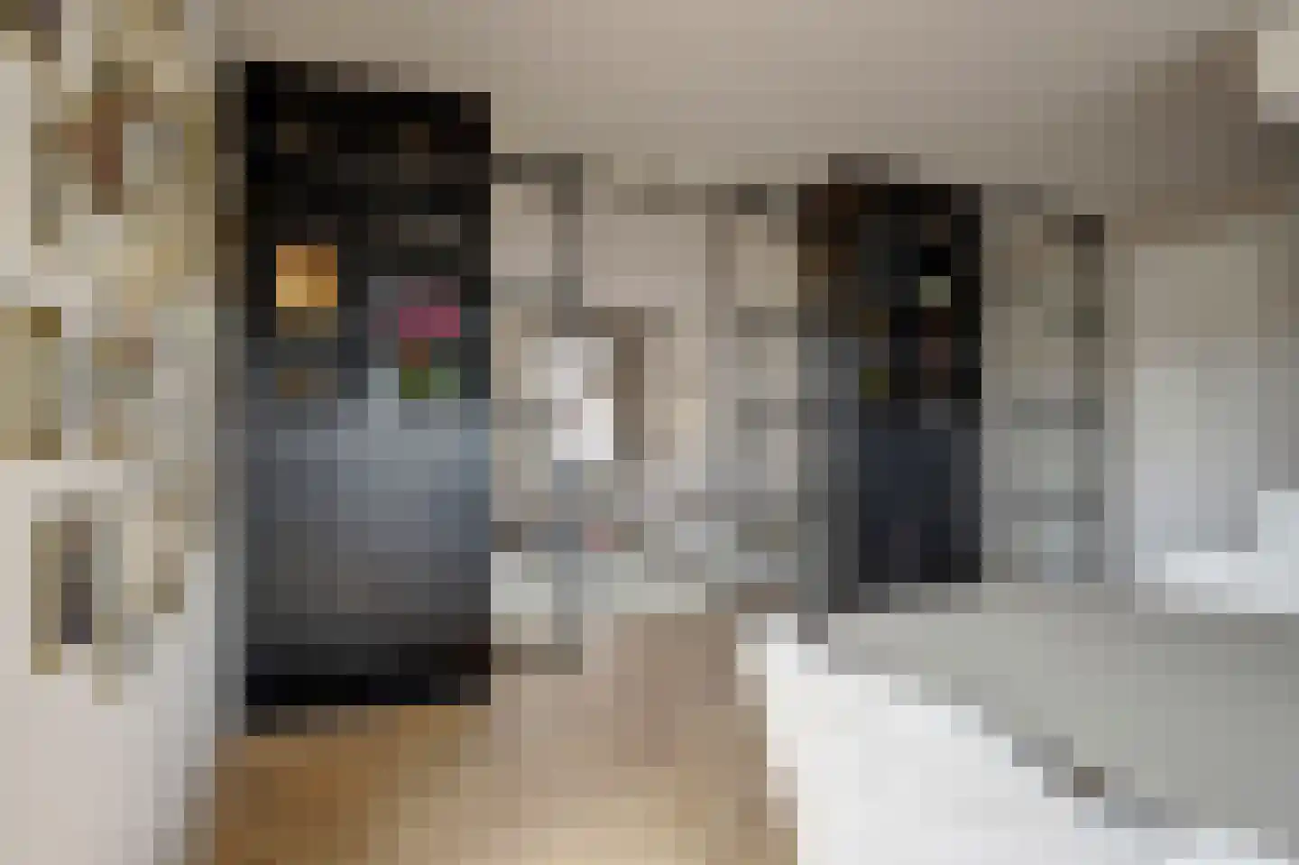 Meerpad 6 Uitgeest thumbnail 5