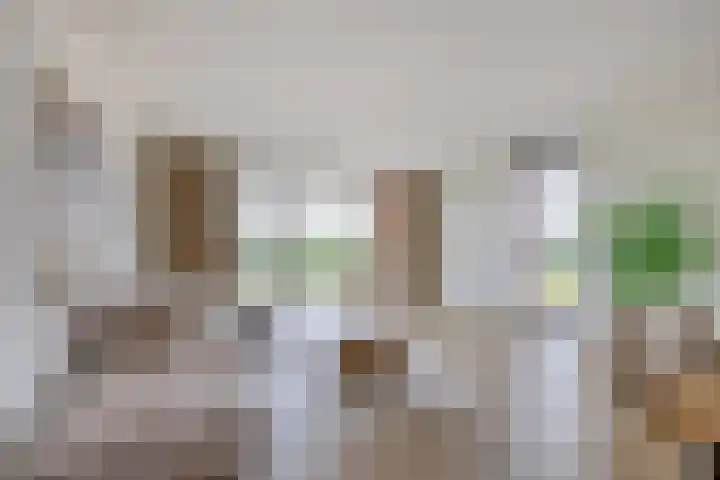 Meerring 156 Eindhoven thumbnail 16