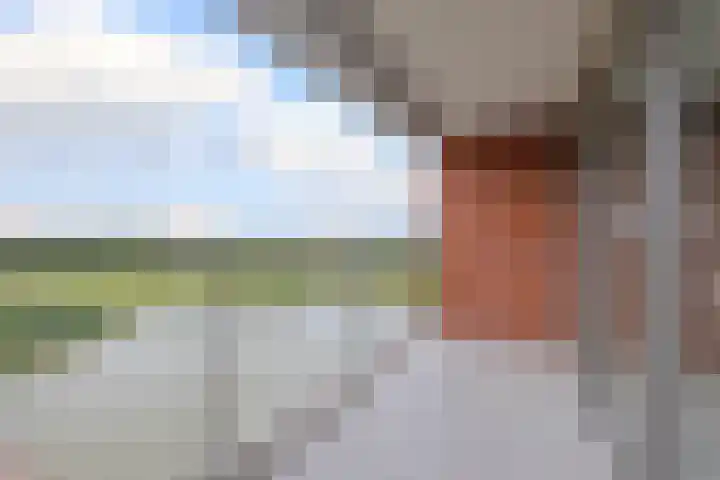 Meerring 156 Eindhoven thumbnail 23