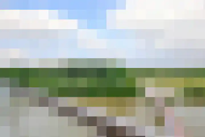 Meerring 156 Eindhoven thumbnail 25