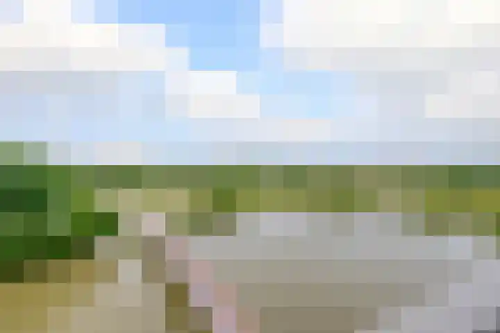 Meerring 156 Eindhoven thumbnail 26