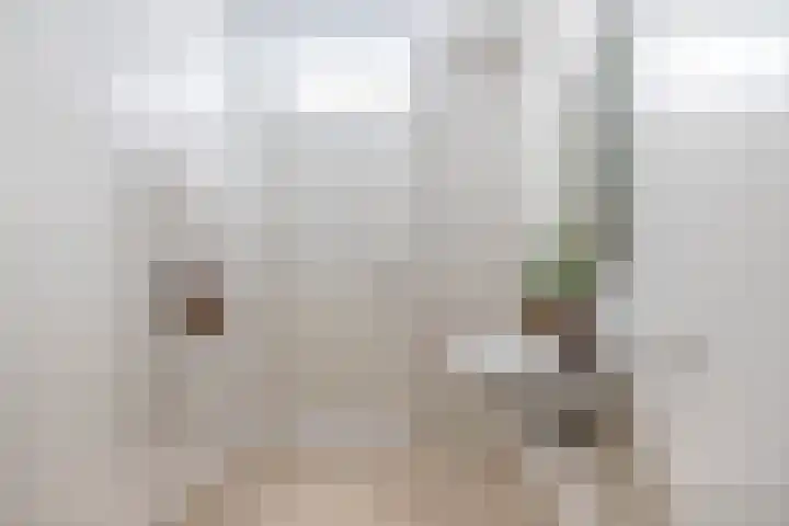 Meerring 156 Eindhoven thumbnail 37
