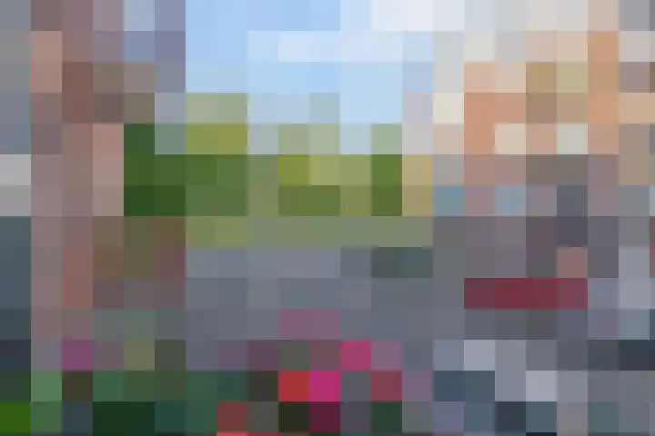 Meerring 156 Eindhoven thumbnail 8