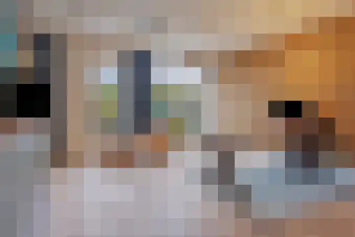 Meerring 32 Eindhoven thumbnail 35