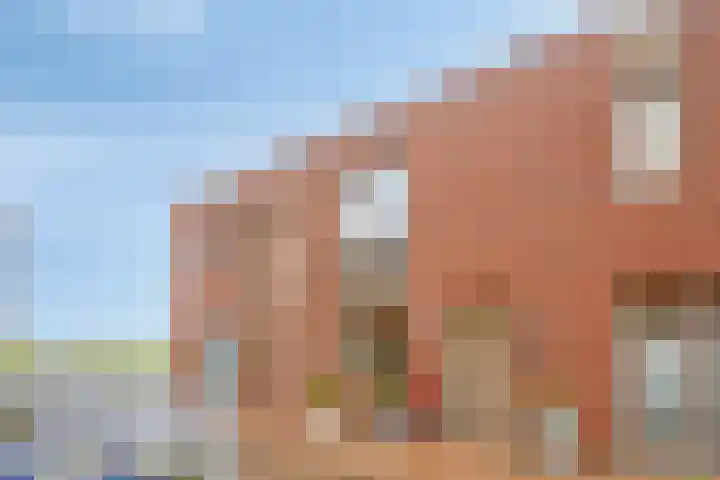Meerring 32 Eindhoven thumbnail 64