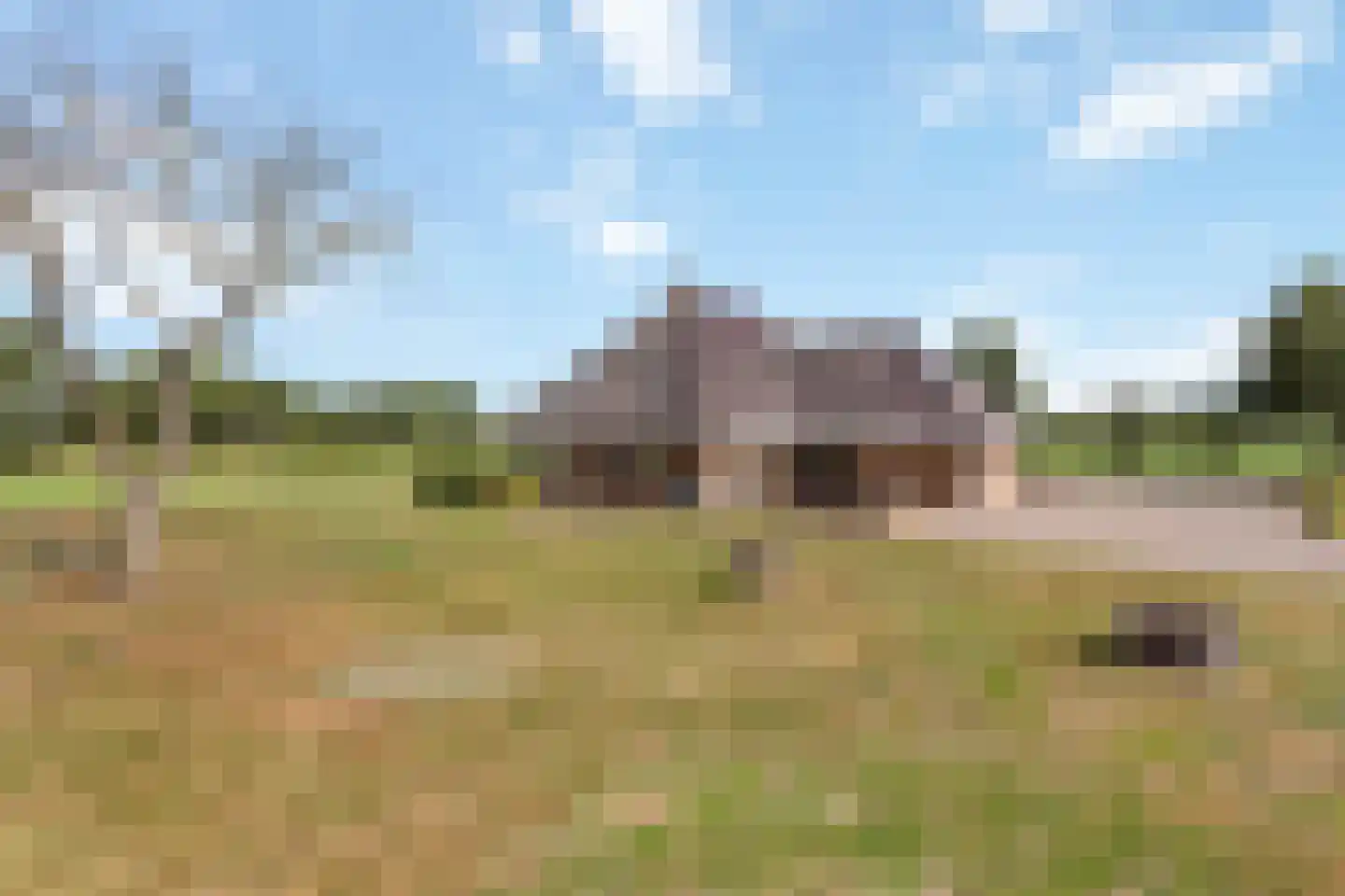 Meersendijk 26 Den Ham thumbnail 18