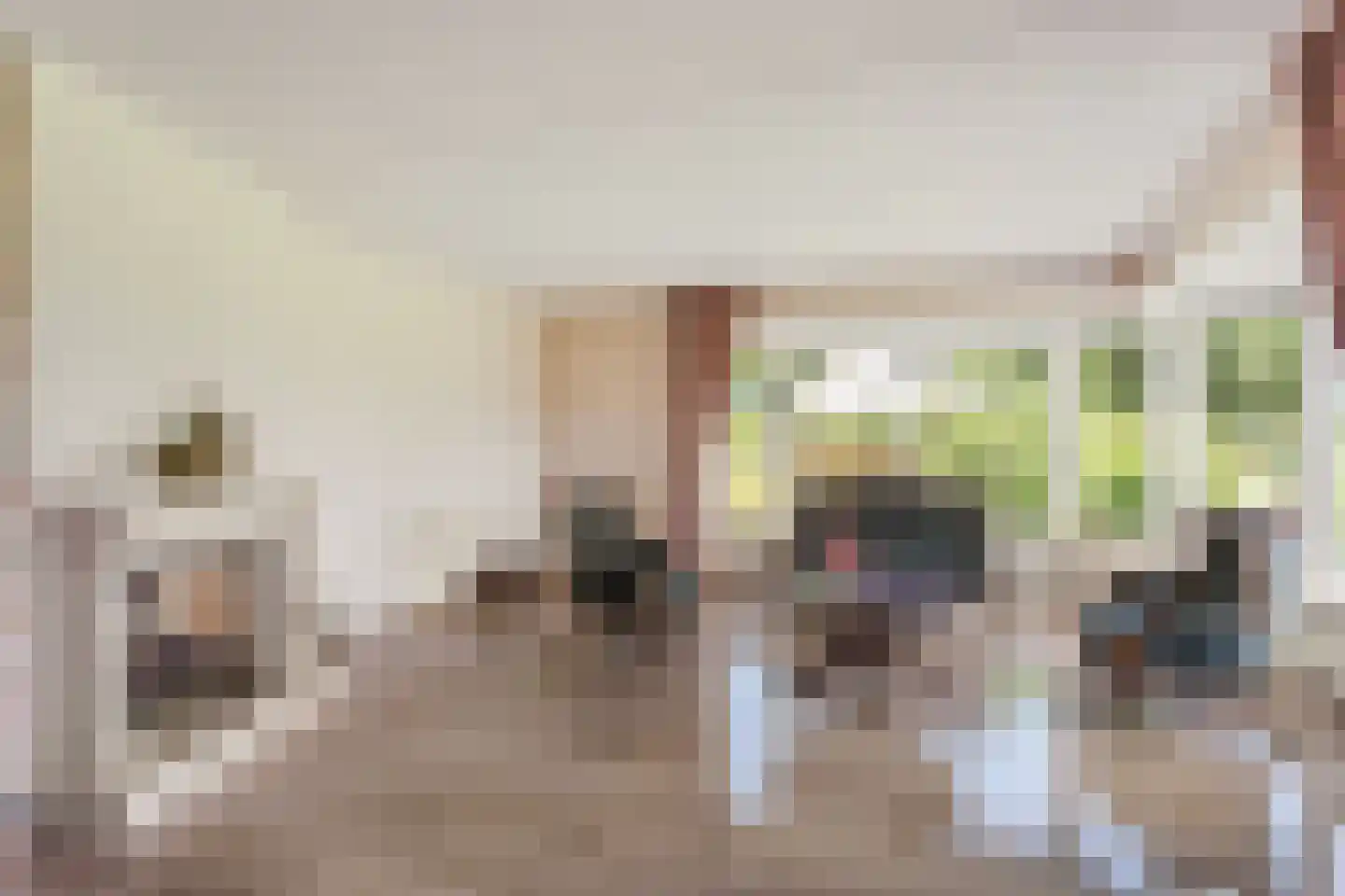 Meersendijk 26 Den Ham thumbnail 4