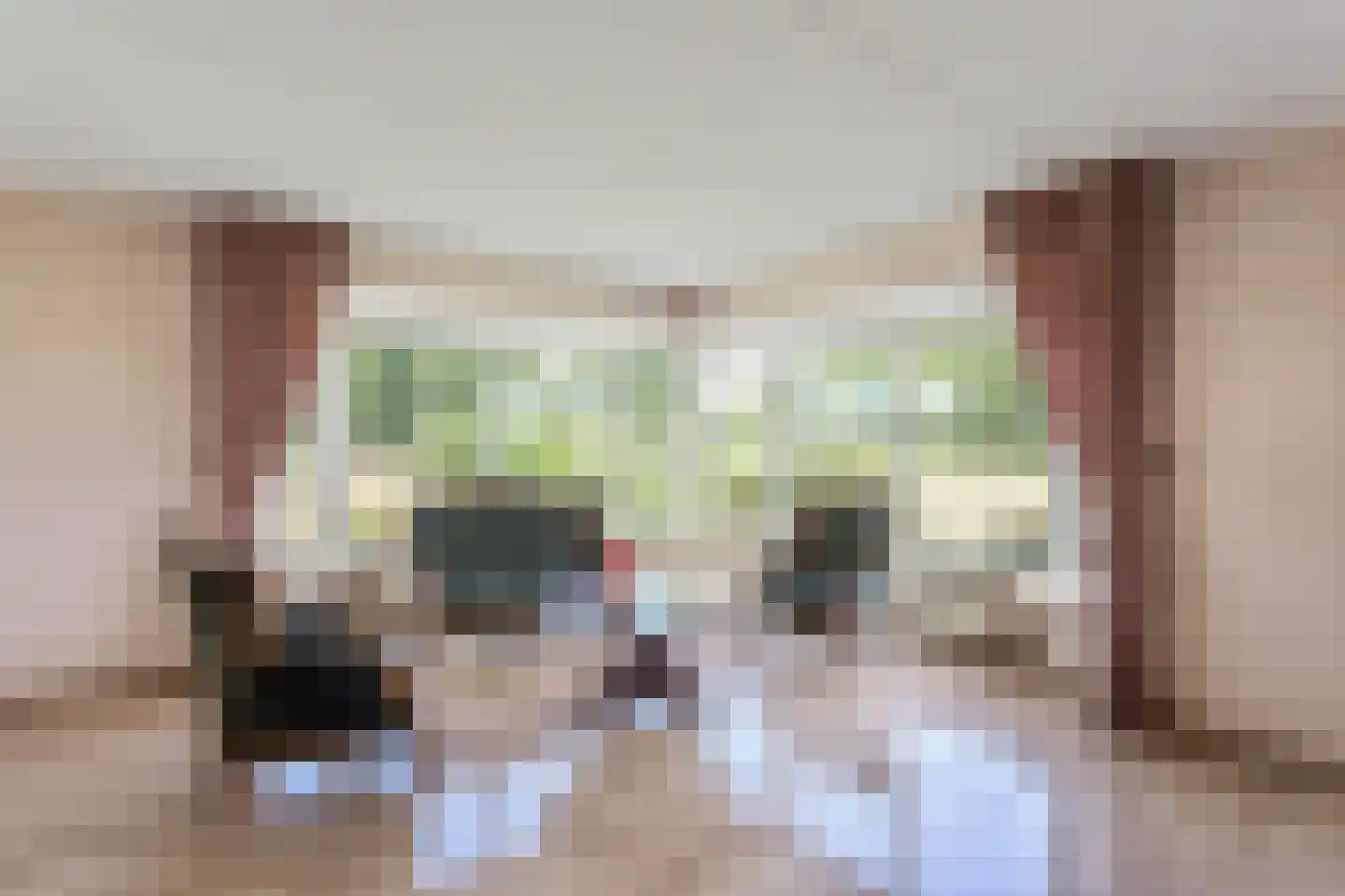 Meersendijk 26 Den Ham thumbnail 5