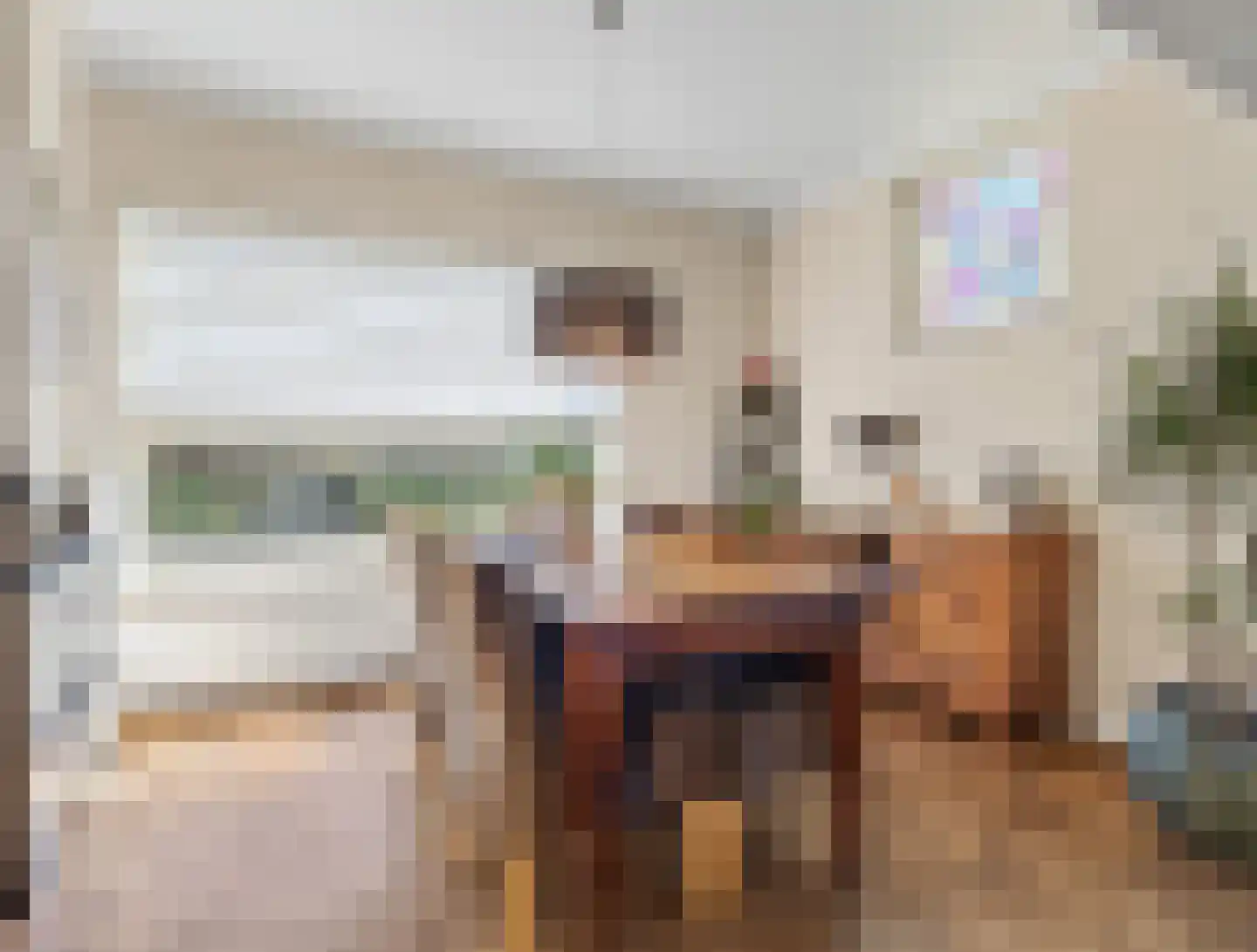 Meerser Eindstraat 15 Stein thumbnail 11