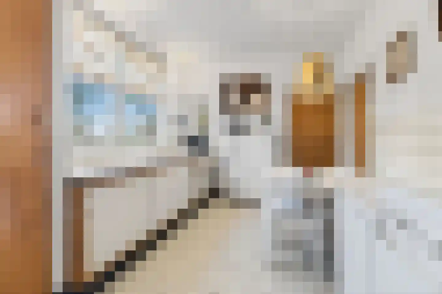 Meerser Eindstraat 15 Stein thumbnail 13