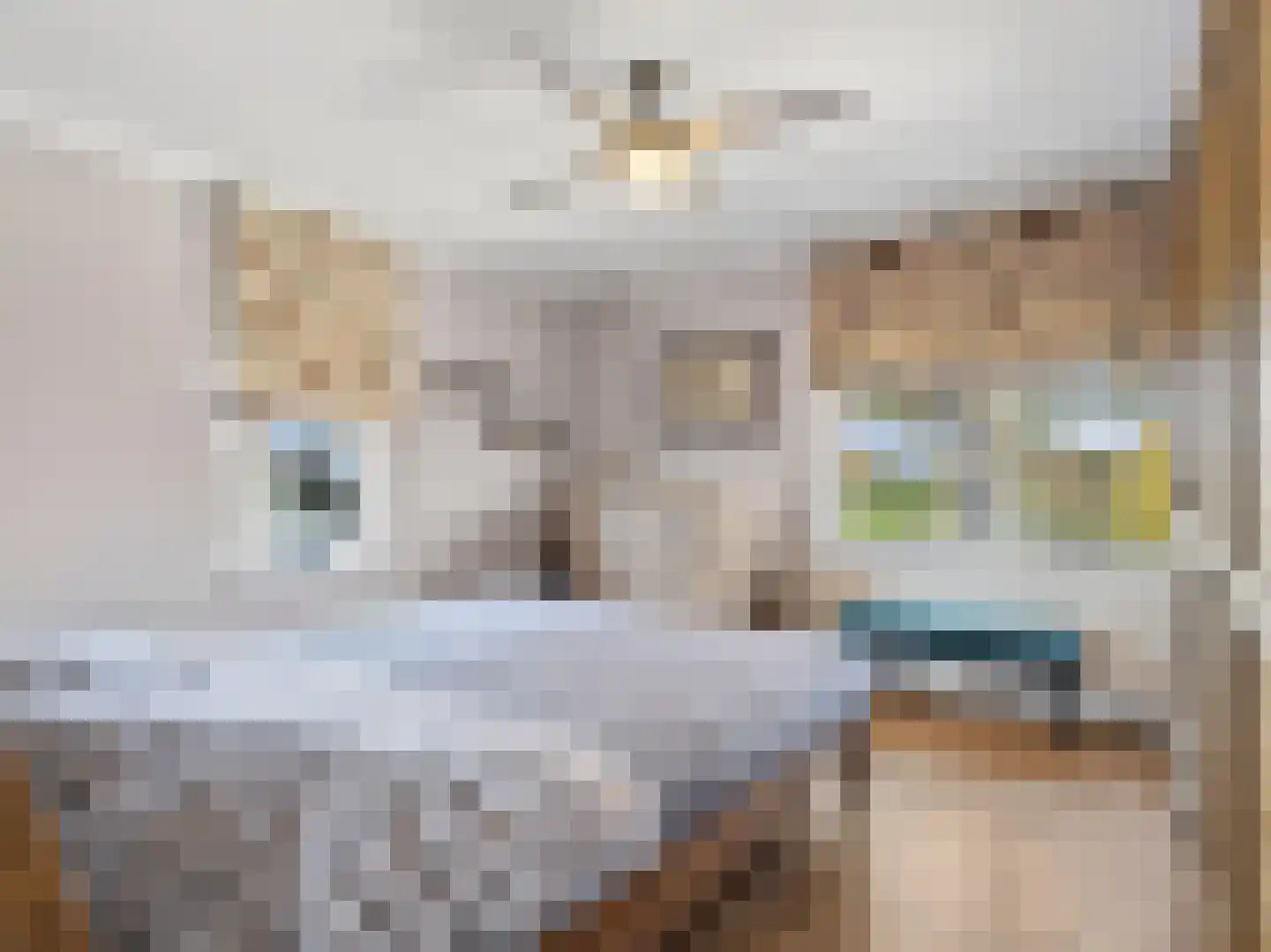 Meerser Eindstraat 15 Stein thumbnail 26
