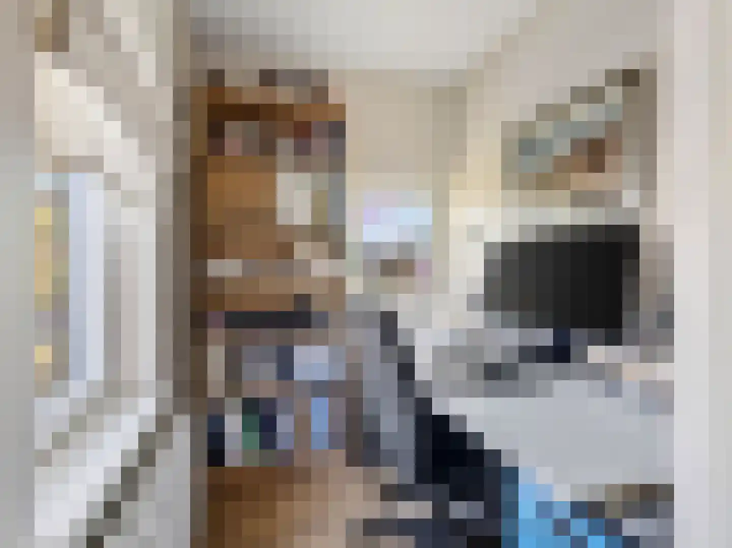 Meerser Eindstraat 15 Stein thumbnail 28