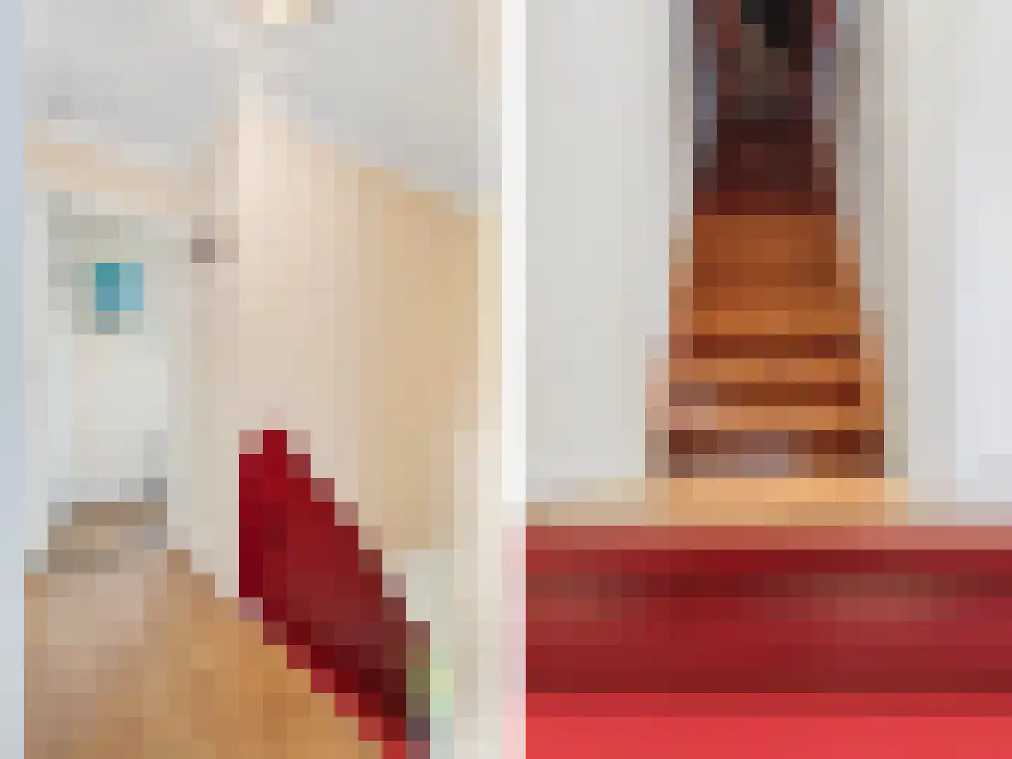 Meerser Eindstraat 15 Stein thumbnail 30