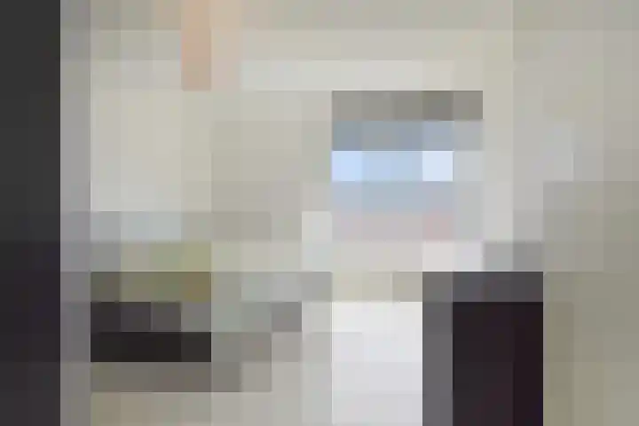 Meersingel 16 Pijnacker thumbnail 11