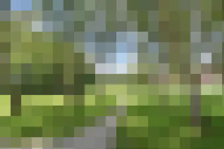 Meersingel 16 Pijnacker thumbnail 21